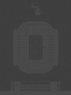 Custom Stadium Screenprint